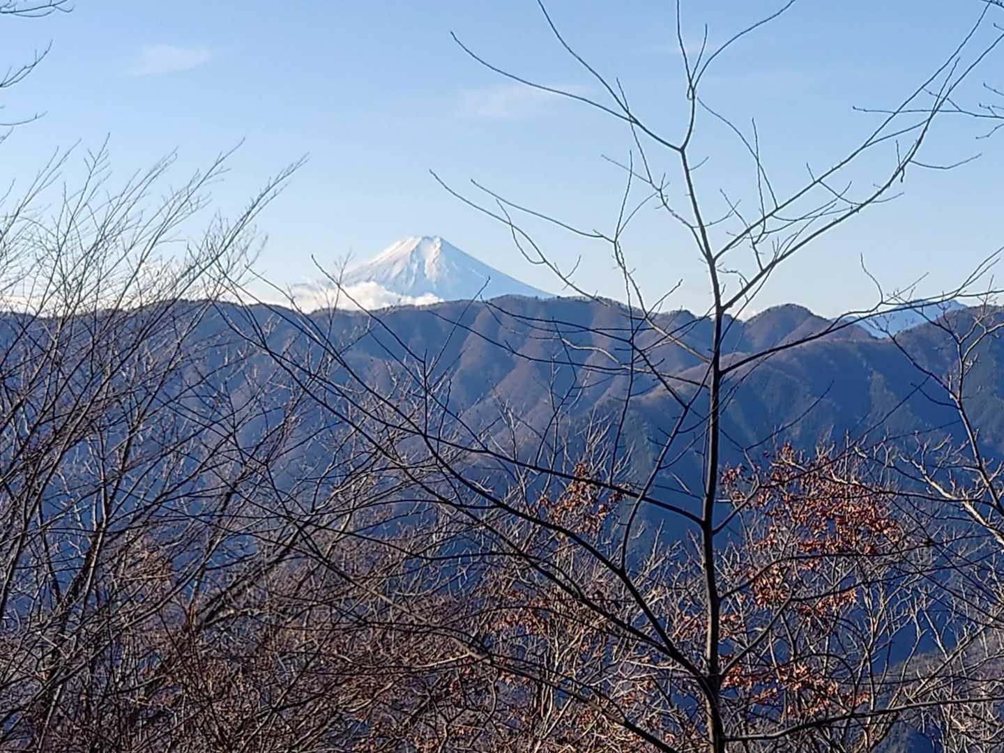 浅間尾根登山口バス停-大羽根山-数馬峠-田和峠-西原峠-槇 縦走コースの写真
