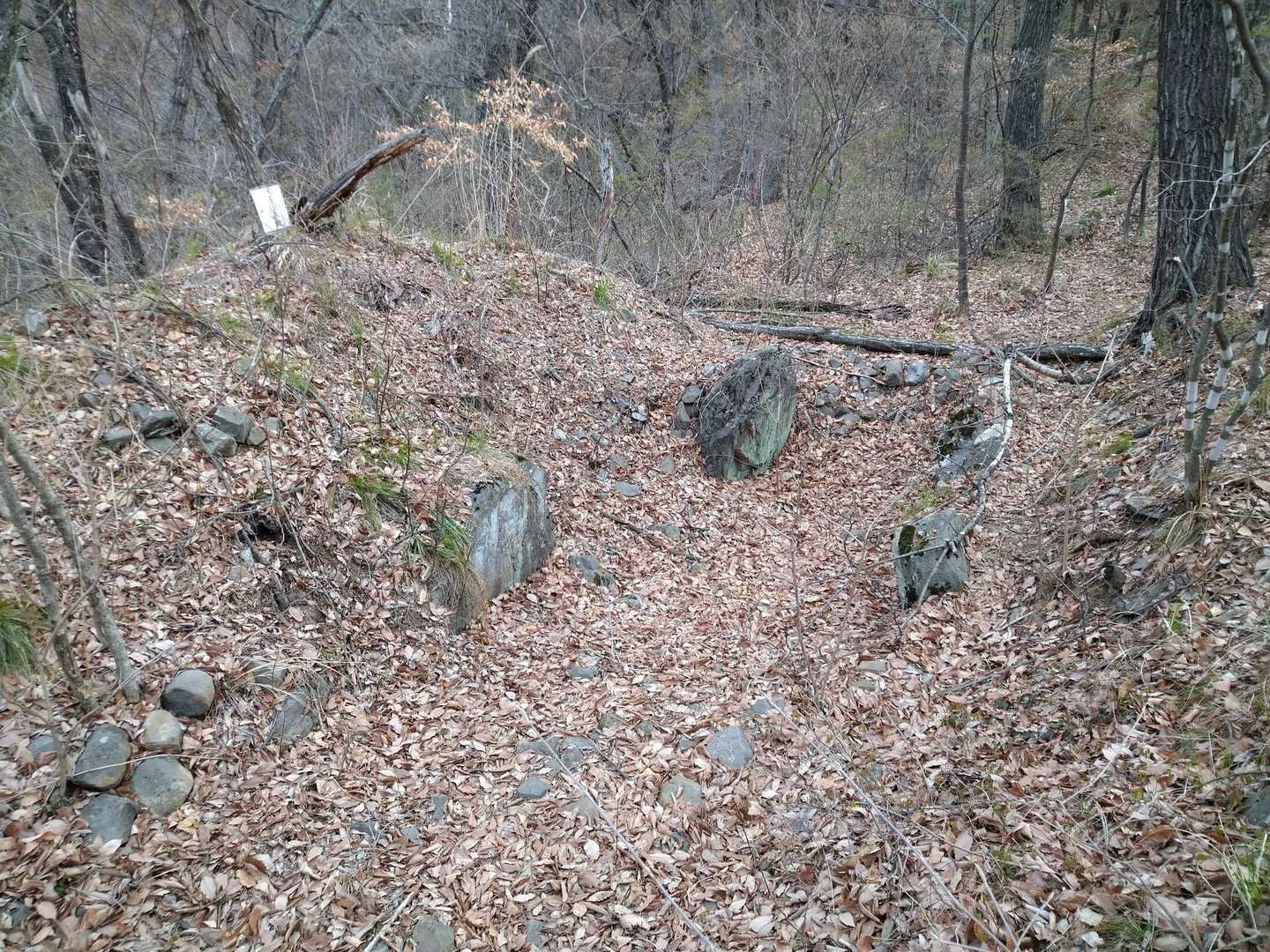 登山道脇直ぐのトコに古墳跡がありました
