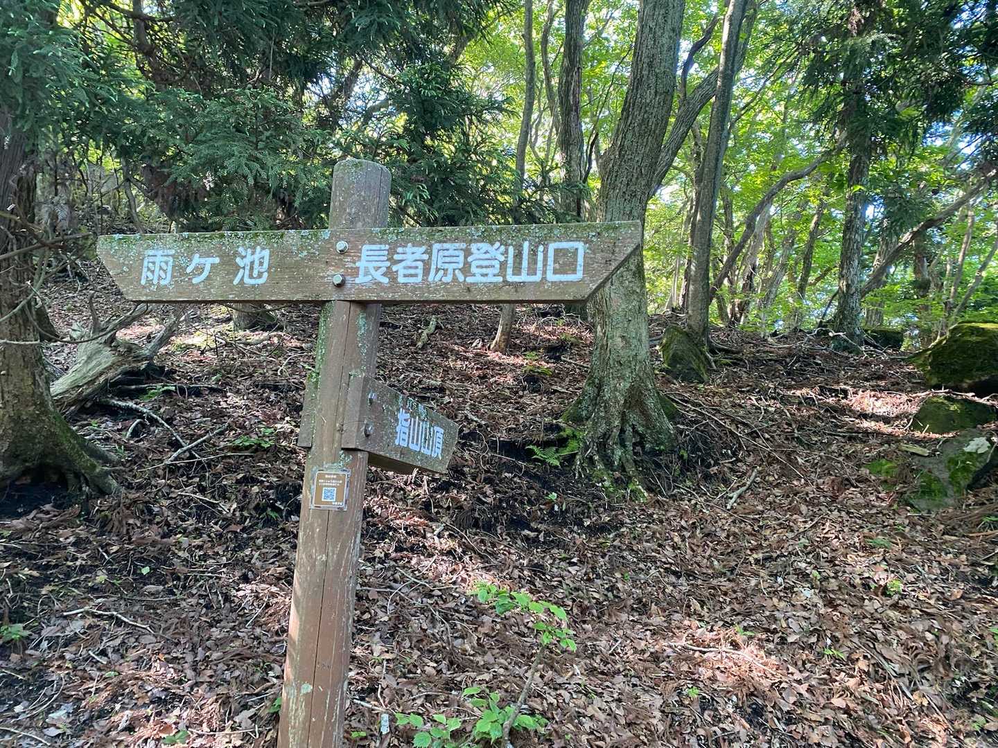 長者原からくる道との合流点。
ココから本格的な登りが始まります。