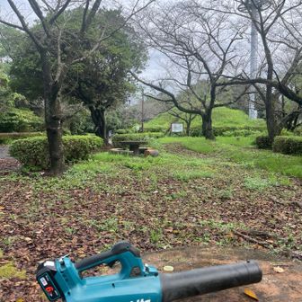 清掃しながら下山