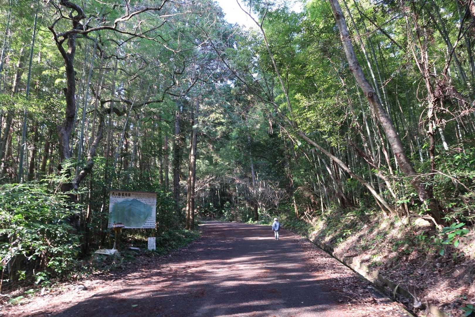 新入登山口から