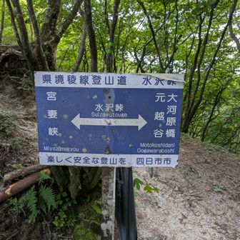 最初は基本、谷筋の登山道だけど踏み跡はイマイチ不明瞭
沢登りの人しか通らないのかも