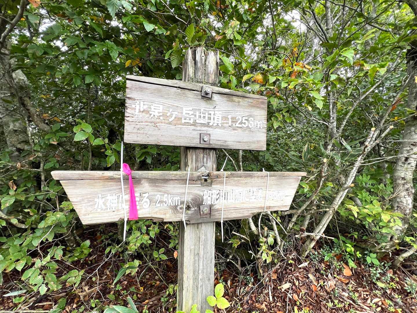 ちょいと息切れながら、北泉ヶ岳山頂へ⛰️
標識壊れたのかな🪧