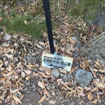 ここから山道へ