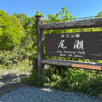 はじめましての尾瀬✨