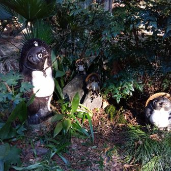 いつものメンツ。元気そうでした。(⁠^⁠^⁠)