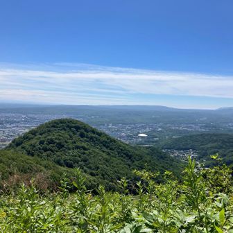 円山