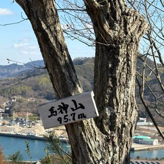 標高９５.７メートル⛰️🐴