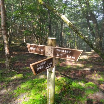 ヤブ沢峠、到着。