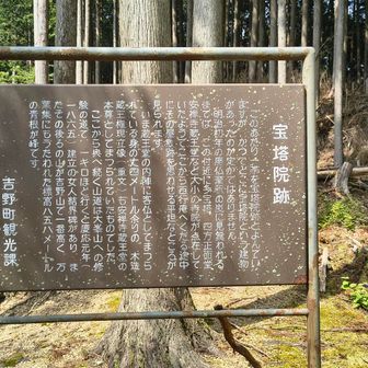宝塔院跡。明治時代の廃仏毀釈前には山奥のこの辺りも多くの寺院があったとのこと。