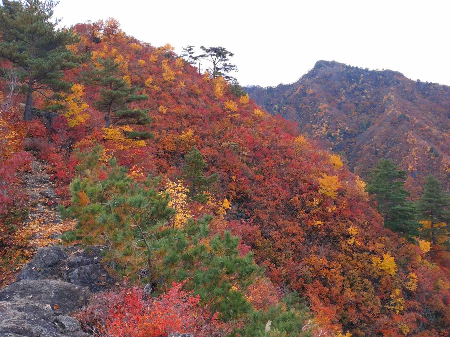 古峰山 周回コースの写真