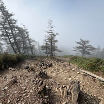 晴れ間が見えても雨！一気に鞍部へと向かう。雨雲の中に突入だ。