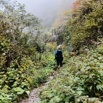 橋が見えてきた