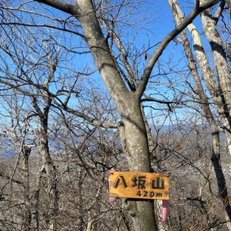 八坂山⛰️