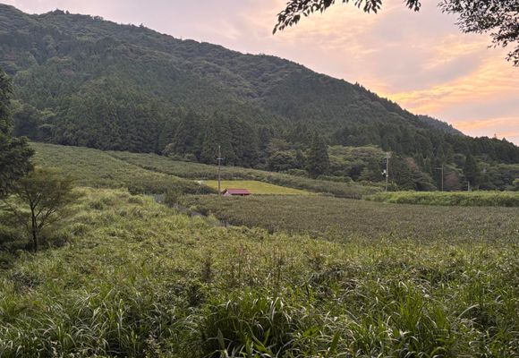 三子山（三重・滋賀・568m）| 登山ルート・天気 | YAMAP / ヤマップ