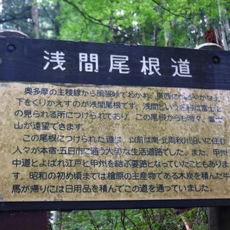 浅間尾根について書いてありました。