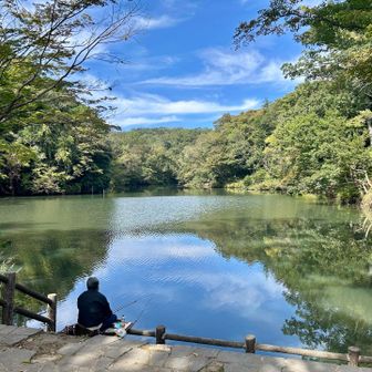 震生湖
水たまり？