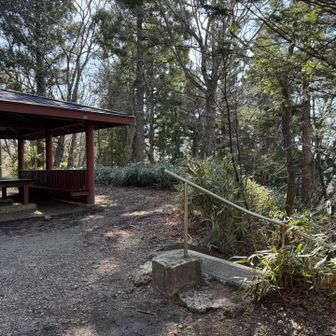 だいぶ下って東屋あり
ここから階段降りて行くと赤い鳥居⛩️があるのですが、私は温泉に行くので左に下山