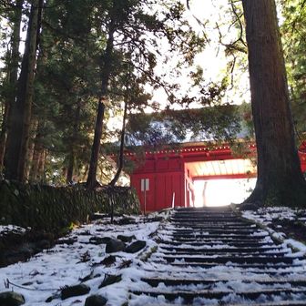 随神門にも陽が差し込んで輝いています。
無事に戻ってきて一安心です👍