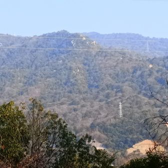 岩屋観音と呉婆そ宇山