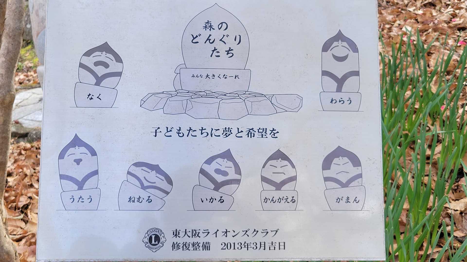 表情豊かな 森のドングリ坊や達😂