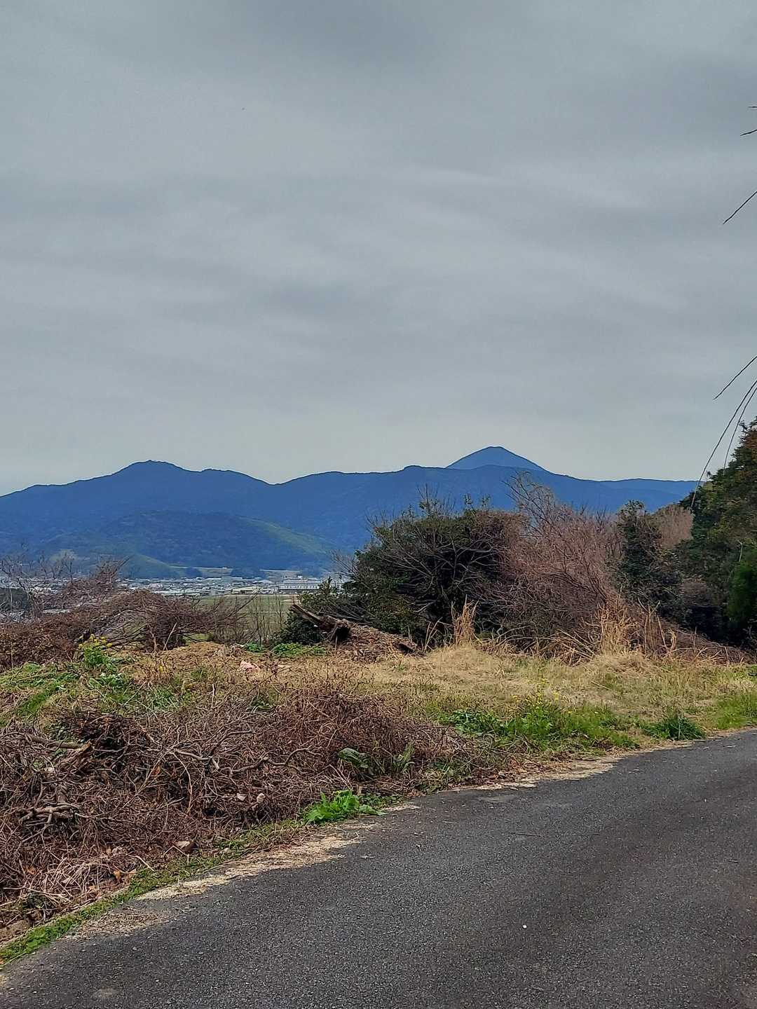 浮獄🌲待ってろ！！と、
口だけ野郎に成り下がってしまう自分が。