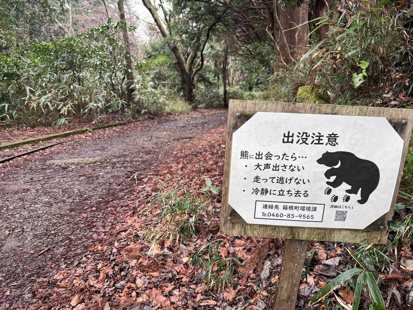 この看板🐻
冷静に立ち去るなんて無理だと😅