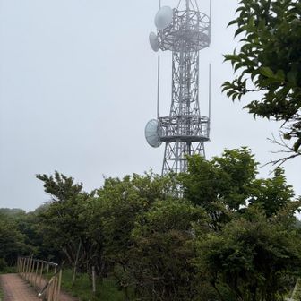 電波📡が好きな方もいますよね☺️