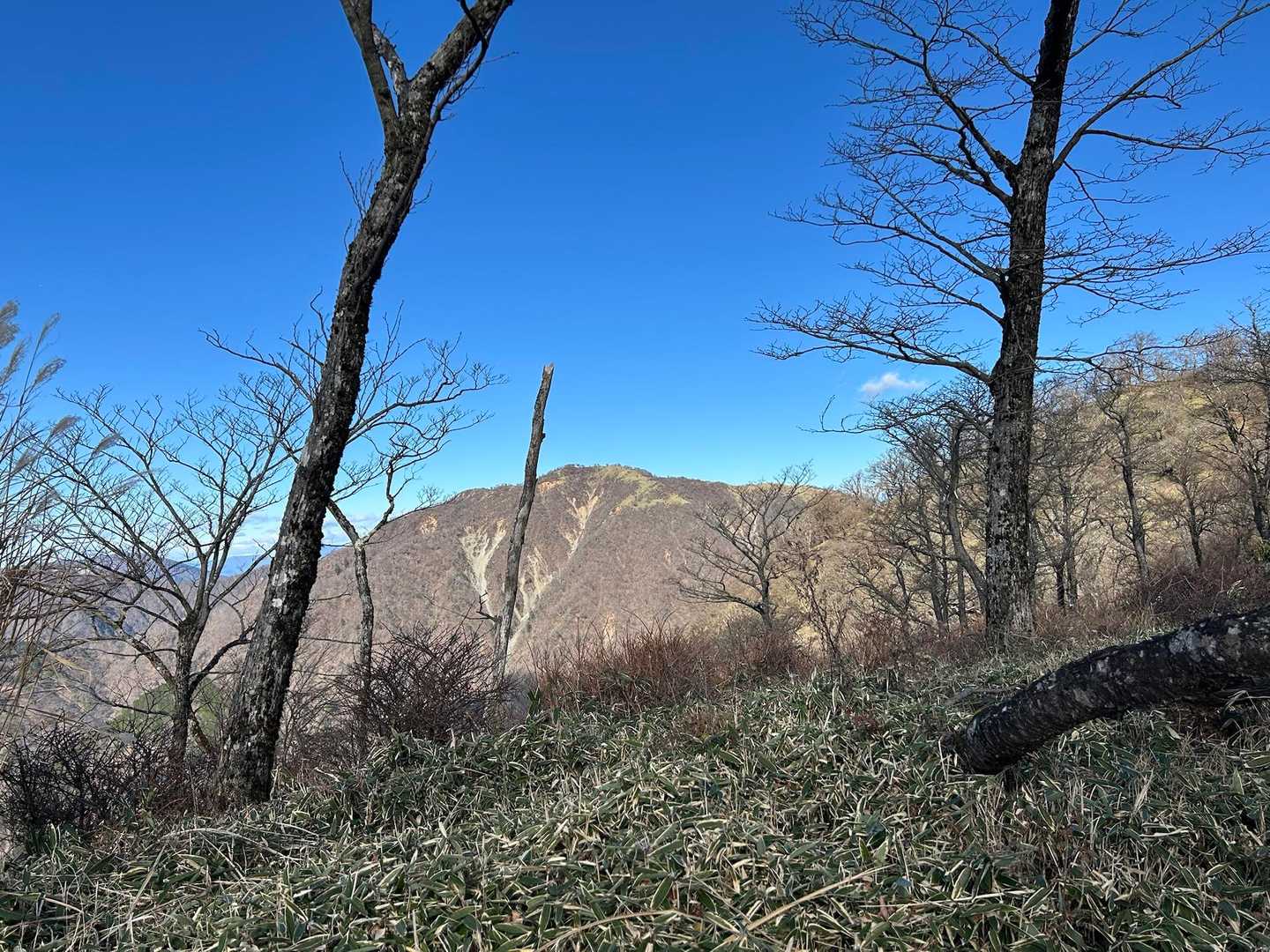 丹沢山系最高峰蛭ヶ岳が見えた。