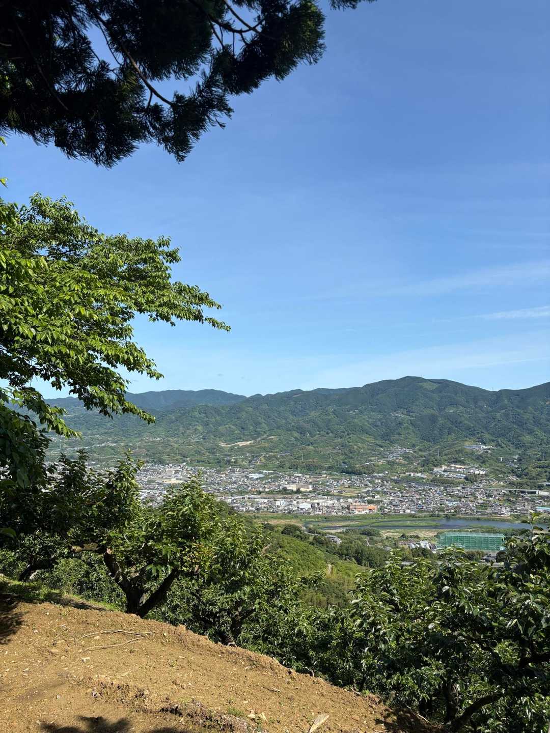 九度山駅-道の駅くどやま-慈尊院-丹生官省符神社-銭壺石- 縦走コースの写真