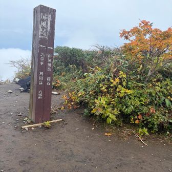 着きました〜