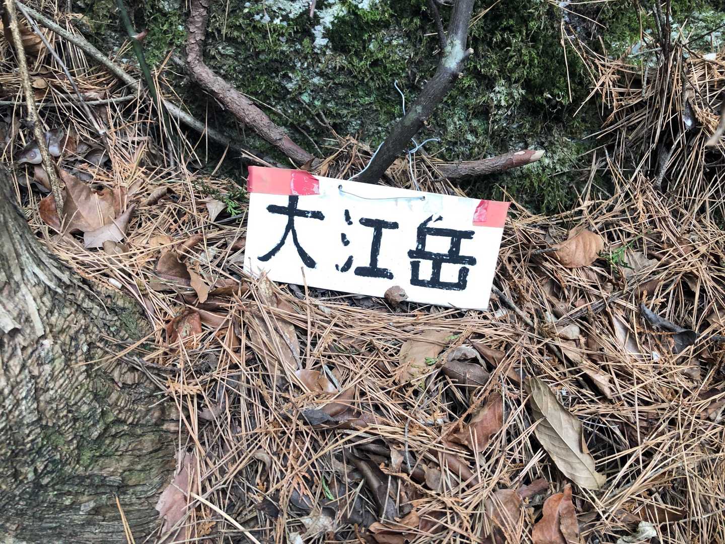 3座目