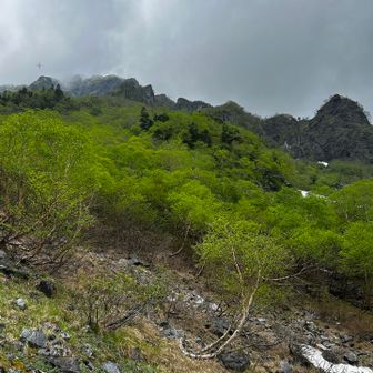 北岳(大樺沢雪渓↑ 草スベリ↓)+W中白根 / Co-CHeの登山データ | YAMAP