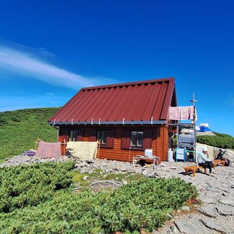 夏だけ小屋番さんいる