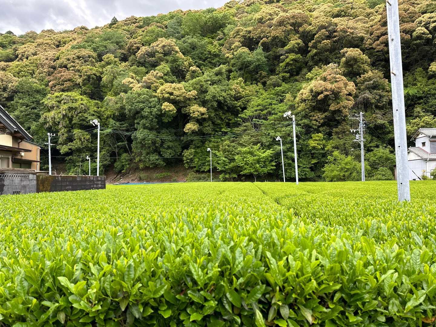 福用駅-八高山 周回コースの写真