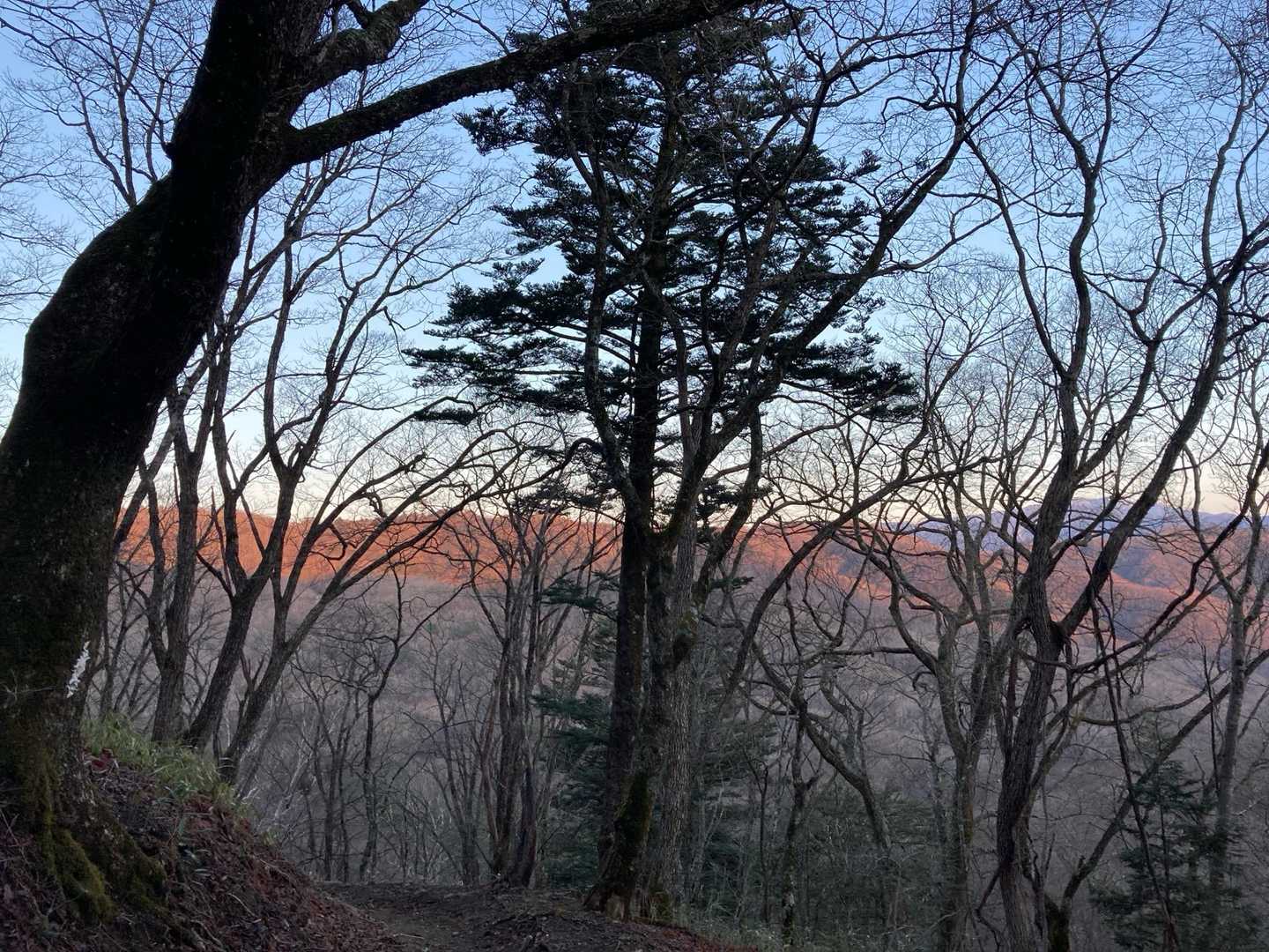 ハンゼノ頭の尾根が薄っすらモルゲンロートしてきました。