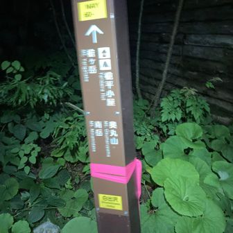 一回迷いましたよ。笑
帰ってきたかな