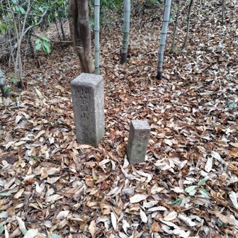 一つ降りた枯葉に埋もれた遊歩道に碑を発見
