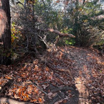 56　鴻ノ巣山　164.7m
No.3