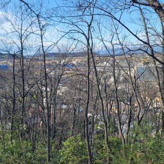米原駅が見下ろせる