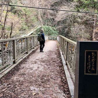 だんだん高尾山に近づいてきました❗️