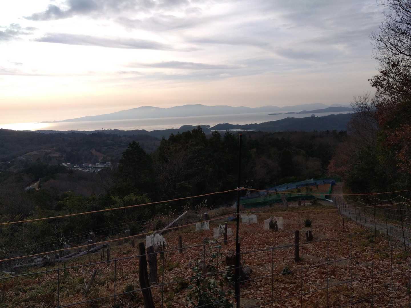 小豆島が見えましたよ👀