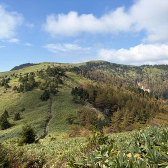 どこをみてもキレイな山です