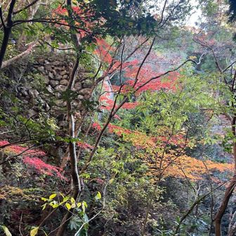 ちょこっとだけど、趣ありです🍁