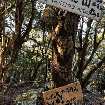よくわからん案内板
西向きの尾根って無いし？
火打石方面に下るコースはあるようだけど
