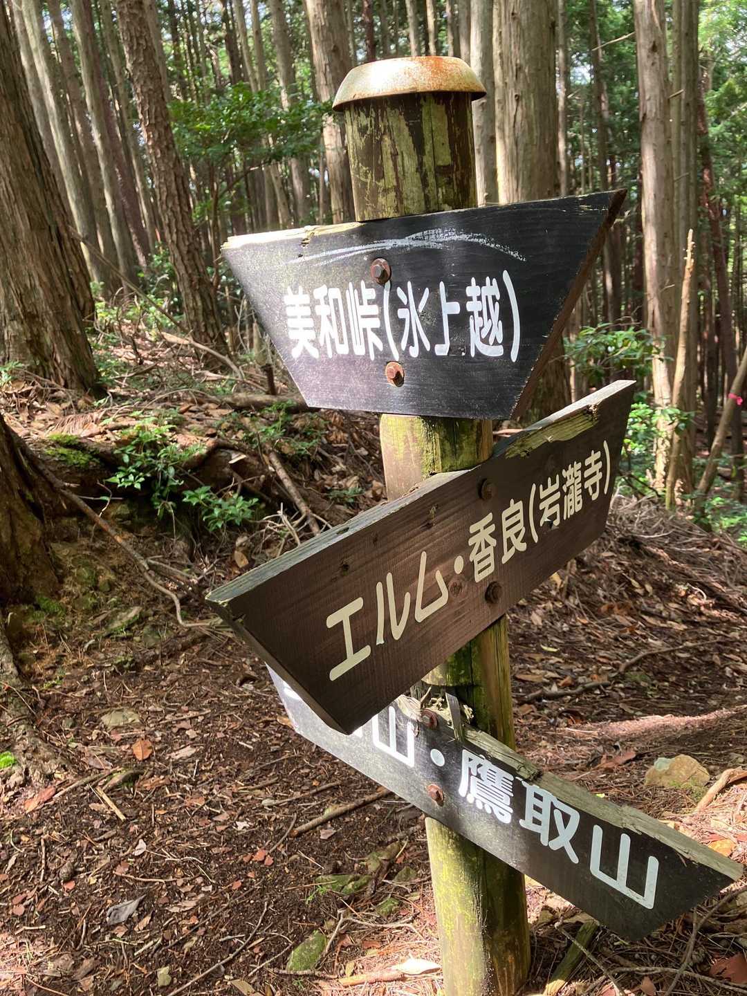 YAMAPでは「三和峠」やけどこちらは美和峠
ここから下って行きまーす