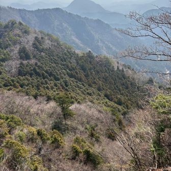 東の覗きから、明神山だろうか