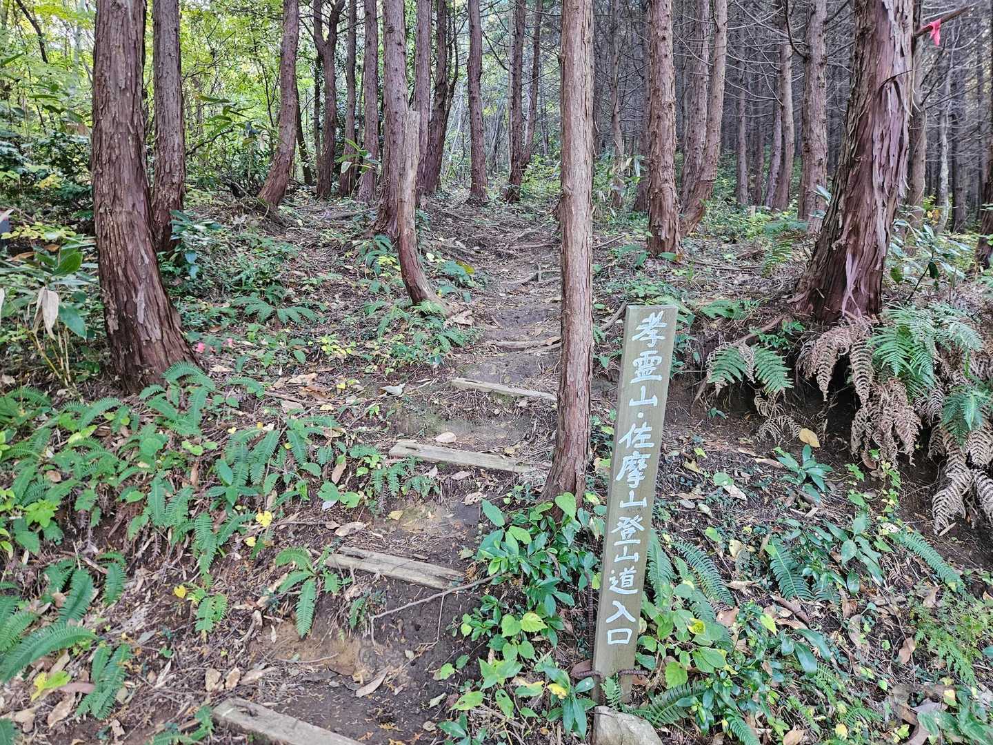 佐摩山-孝霊山 往復コースの写真
