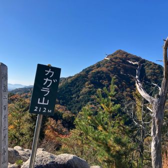 カガラ山山頂から次鋒ピラミダルな武田山を望む