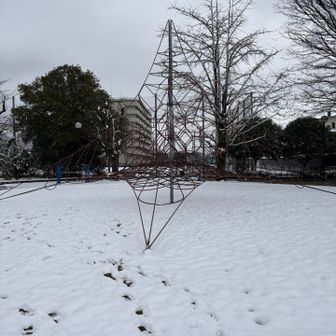 雪景色の岐阜
金華山ＧＴはできなそうなので、